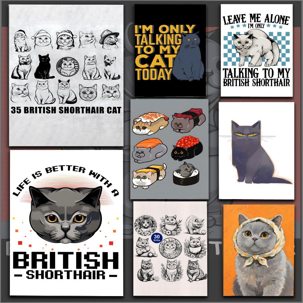 Home Office British - British Shorthair Poster HD PVC Wall
