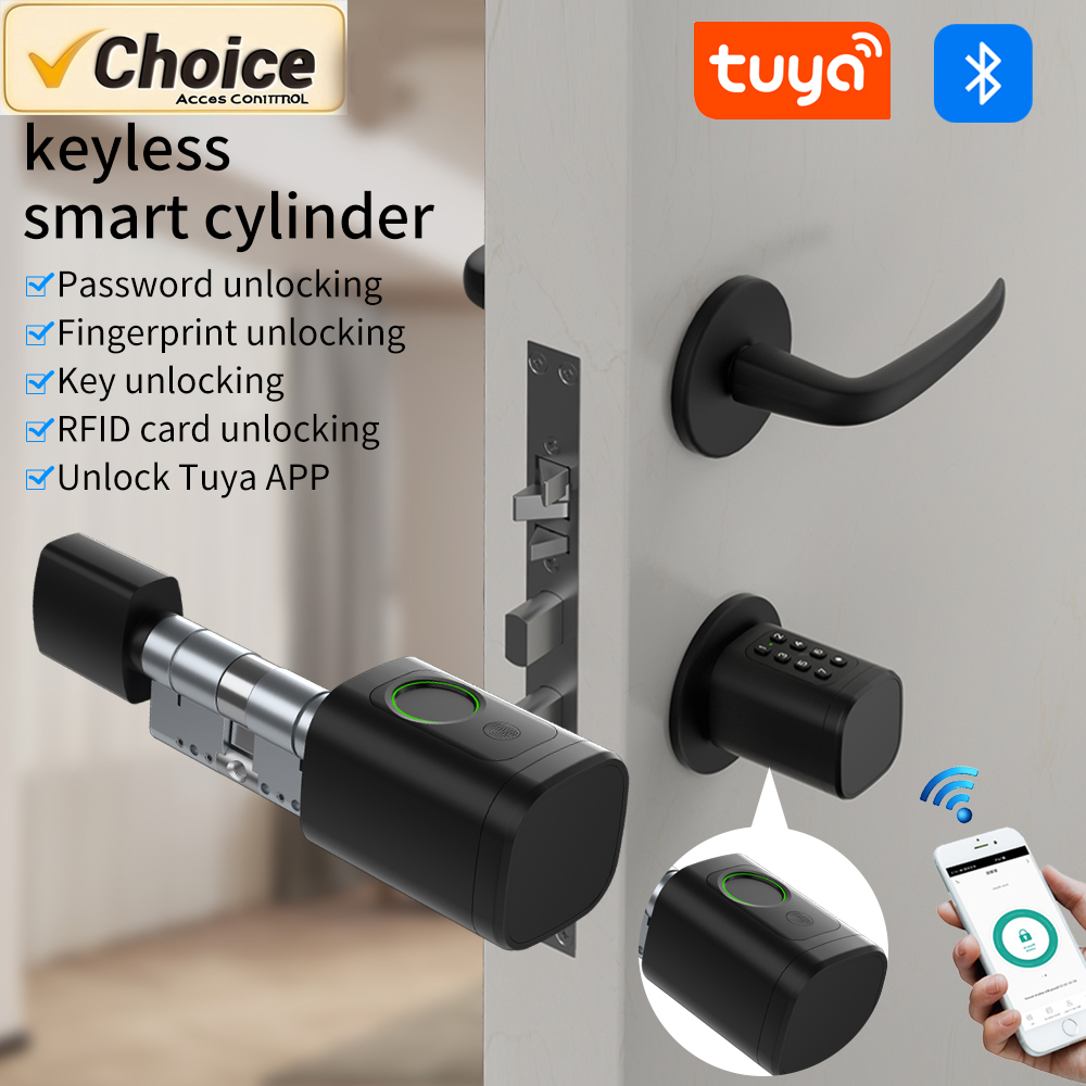 Tuya Smart Mortise Lock IP65 B - Home Office Google avis et prix