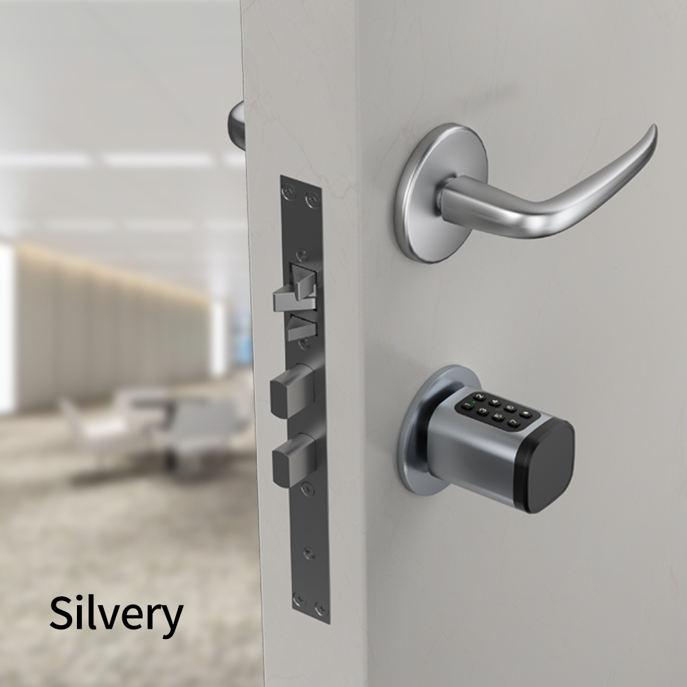 Tuya Smart Mortise Lock IP65 B - Home Office Google avis et prix