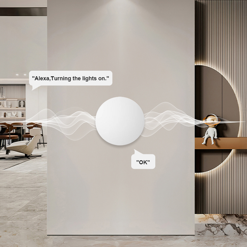Smart Wireless Button Scene Sw - Home Office Google avis et prix