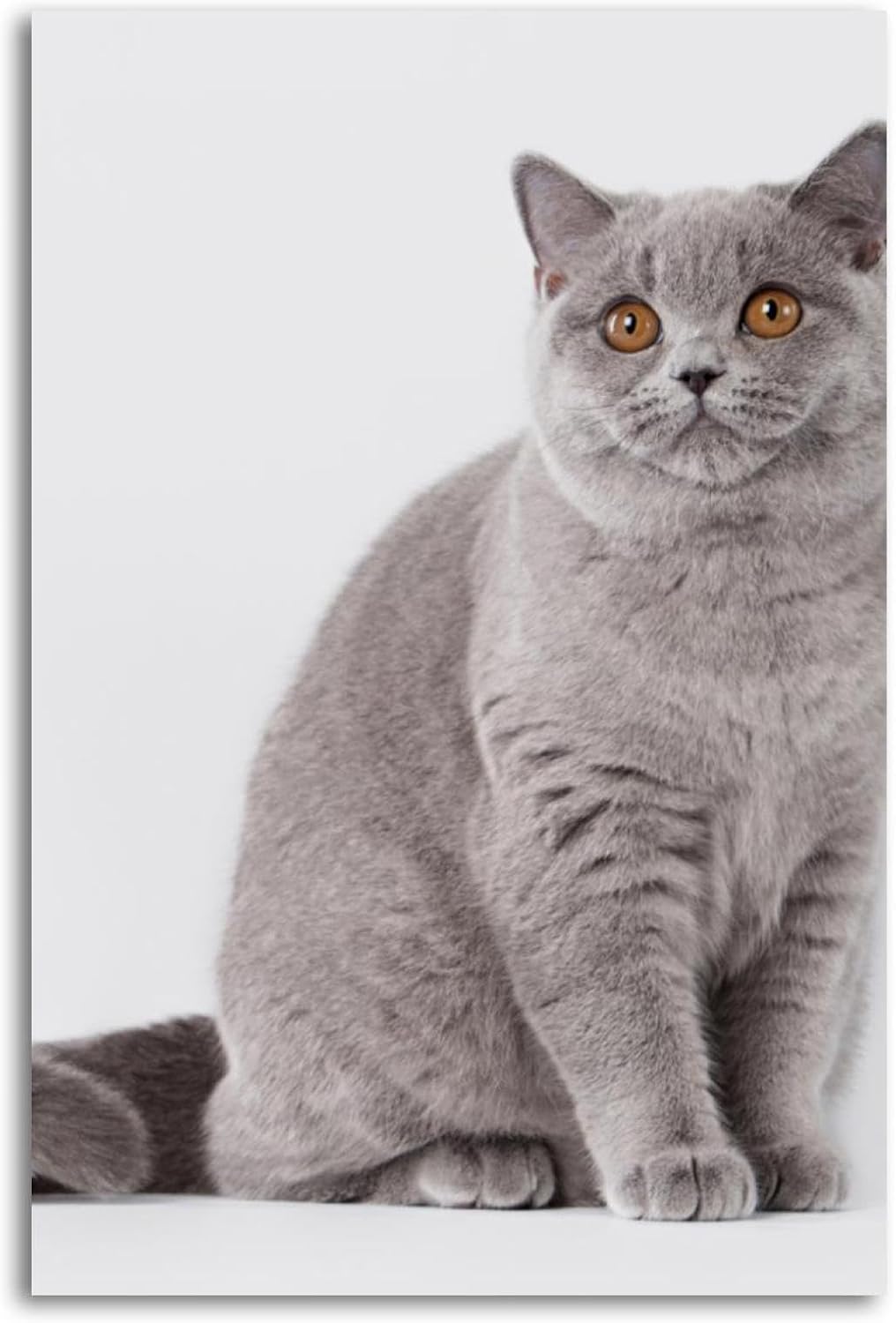 Metal Tin Signs Young Blue Bri - Home Office British avis et prix