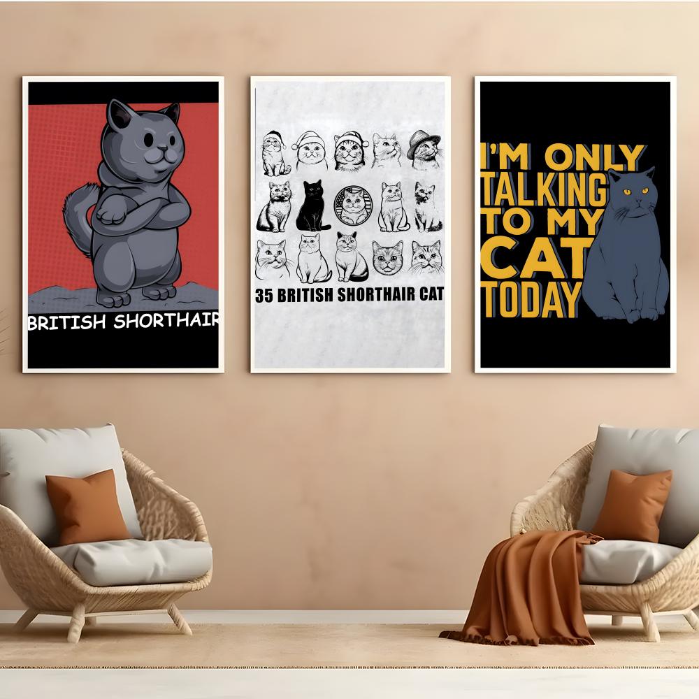 British Shorthair Poster HD PV - Home Office British avis et prix