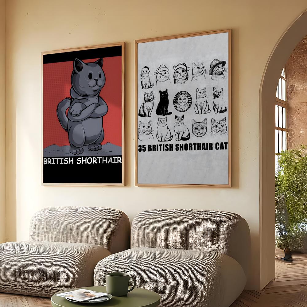British Shorthair Poster HD PV - Home Office British avis et prix